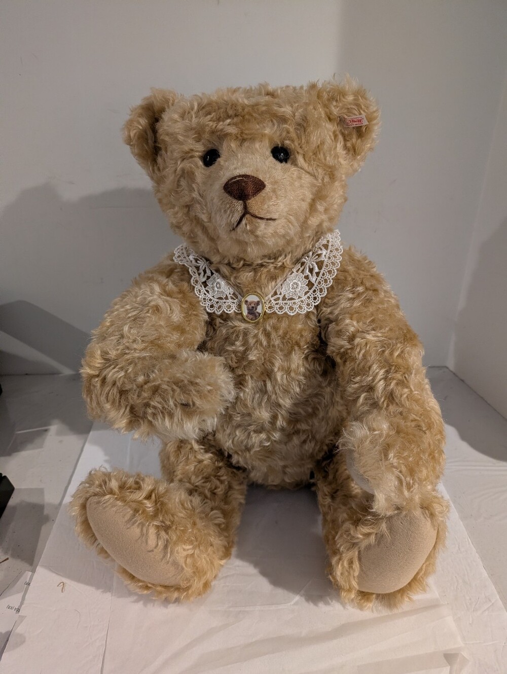 Steiff Apollonia EAN 667633 Limited Edition 1/1500 Teddy Bear 20"